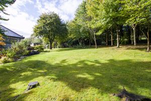 Photo 13- click for photo gallery